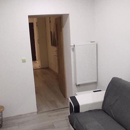 City Center Apartment 45M, 1 Bedroom And 1 Living Room With Kitchen Plus Bathroom, A Perfect Family Friendly Place Or For Home Office And A Longer Stay, A Proper Office Desk With Business Chair Provided, 100M From Market Square And Vistula River Grudziądz Exterior foto